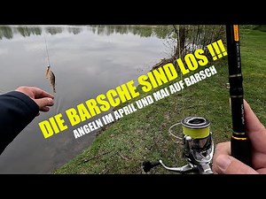 Angeln auf Barsch im April und Mai mit Gummifisch - Lieblingsköder 7 cm