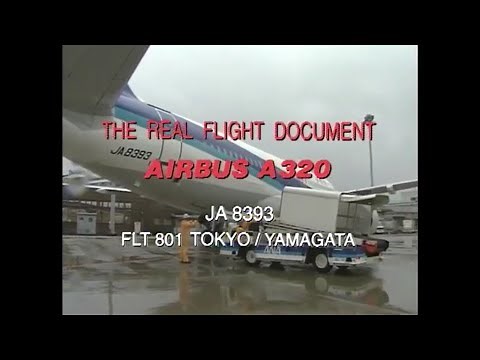 ANA BLUE ON BLUE THE REAL FLIGHT DOCUMENT A320
