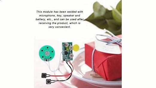 Recordable Voice Module