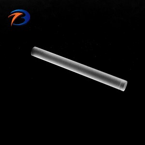 [Hot Item] Rod Lenses for Urology/Laparoscopic Instrument Rigid Endoscope Lens