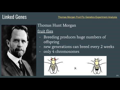 Recombination Frequency Part 1