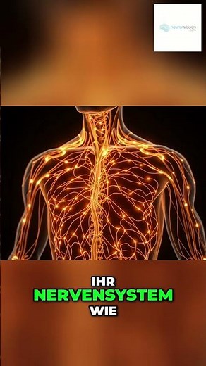 The Silent Danger of Diabetic Polyneuropathy