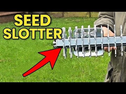 Seed slotter tool on a clay lawn. Is it worth it?