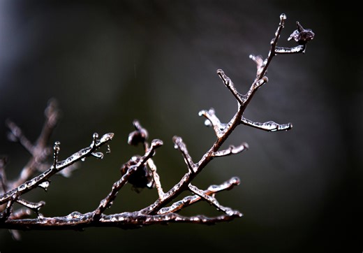 Brace for freezing temps and a brief snowfall in Eugene-Springfield