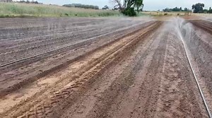 Our #RainHose Irrigation hard at work in the field! Thanks Gary for the awesome video! Learn more about our systems, shoot us a WhatsApp to 27 61 502 2547 Contact our distributor Irrigation Unlimited to find your nearest retailer: PTA 27 12 736 2121 | CPT 27 21 946 1194 Our #RainHose is perfect for prepping your new fields 👌 Super easy to install, super easy to leave in your field for when it needs some cooling down, and super affordable! #farmingsouthafrica #driplineirrigation #agriculturesout
