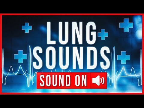REAL LUNG SOUNDS + ASSESSMENT