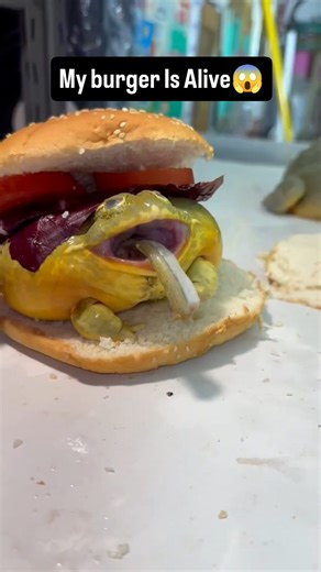 Mr Froggo on Instagram: "Like or i eat the burger ⏩ mrfroggo.com ⏪ (link in bio) International shipping incredible products ❤️ #frog #nature #animals"