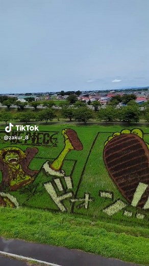 Part2｜ 田舎田んぼアート！ 発想が違う。スゴすぎる #ワンピース #onepiece #仲間がいるよTube #田んぼアート