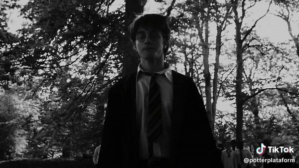 Can I Have My Johnny Back? A Harry Potter Reflection