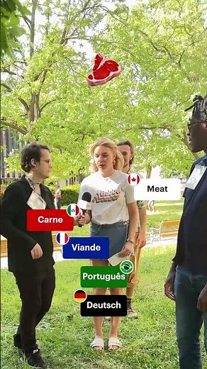 Comparing languages 🇧🇷🇫🇷🇩🇪🇲🇽🇨🇦 #languages #languagecomparison