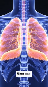 The Best Medical-Grade Air Purifiers in Australia. Every detail of our system is designed and manufactured in Australia. Through the exclusive use of commercial-grade filters and materials, our filters are free from plastic, cardboard or polystyrene foam, offering filter materials that are singular in their ability to protect your health and reduce environmental impact. Through the use of state-of-the-art, energy-saving German engineered fans, we bring pollutant-free clean air to the heart of yo
