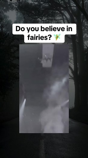 Do you believe in fairies? 🧚 #scary #fairies