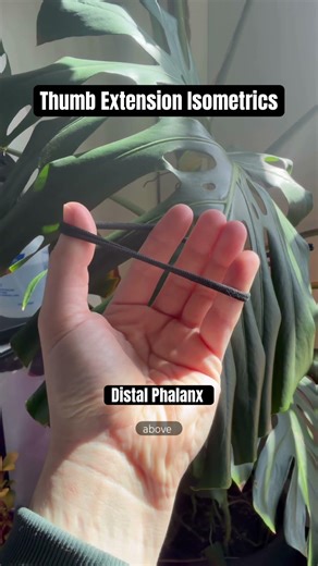 Thumb Extension Isometrics (Proximal and Distal Phalanx)