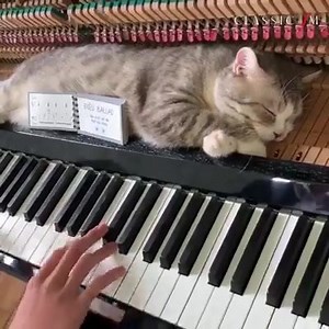 154K views · 3.4K reactions | Aquela massagem musical para relaxar   | Projeto Musical | Facebook