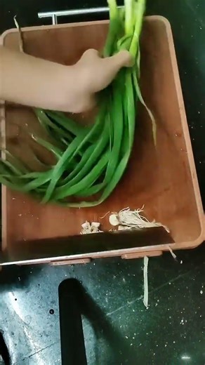 Fresh Spring Onion Cutting | Simple Kitchen Prep 🌱🔪 #shorts #short