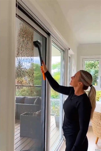 Sparkling Clean Windows & Screens