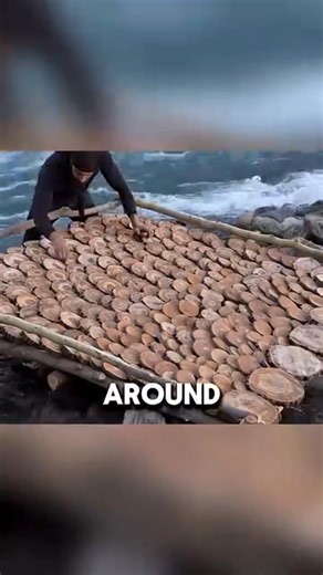 2.1K views | Fish surfing into the net | Fynshore | Facebook