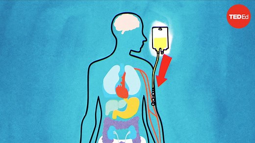 Hyunsoo Joshua No: How does chemotherapy work?