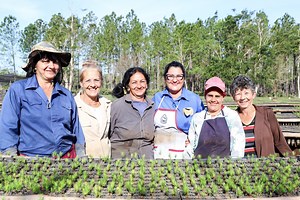 Inicio | FAO en Cuba | Organización de las Naciones Unidas para la Alimentación y la Agricultura