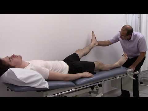 Examination of the Peripheral Vascular System