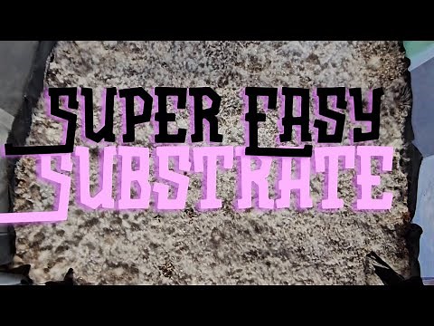 Easiest Mushroom Substrate Recipe | Grow Mushrooms Fast with Coco-Coir
