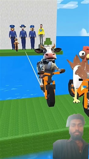 Chicken, Cow cute Vs Dog cute? Which animal do you choose can ride a bike over a rope? #cat #dog
