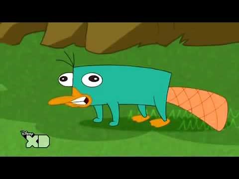 Perry das Schnabeltier Intro