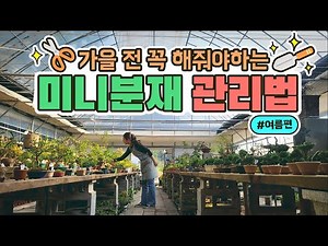 🤗Bonsai class now open! 🤗Before fall! Mini bonsai care essentials for summer! Pruning (prune) met...