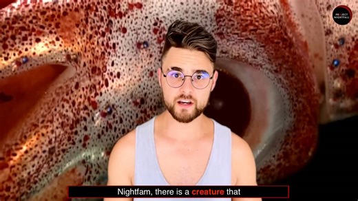 Sea creature attacks