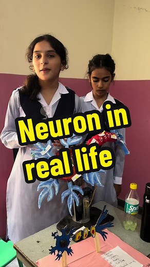 Understanding Neurons: Student Model Presentation