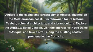 Exploring Algerias Urban Giants: Top 10 Largest Cities Revealed