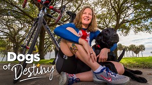 Despite injuries on and off the battlefield, Army veteran Monica Sereda pressed on to become a Paralympic cyclist for Team USA. Her secret to success has a wagging tail and a loving heart. Meet Monica’s four-legged motivator in “From Broken to Outspoken,” the latest episode in our Emmy Award-winning series, Dogs of Destiny. Trigger warning: This video contains battle scenes that may affect those with post-traumatic stress disorder. This episode of Dogs of Destiny is brought to you with grateful 