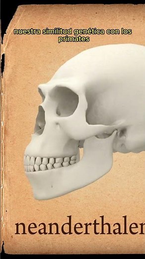 ¿Los humanos vienen de los monos?