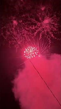 Dragon Fireworks - Dasse 42 Shots (2024-2025) New Years Eve #fireworks #pyro #fireworksdisplay