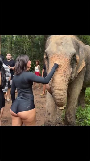 Autism Clips on Instagram: "日本利用压电瓷砖将脚步转化为电能。 这些瓷砖捕捉来自你脚步的动能。当你行走时，你的重量和动作会对瓷砖产生压力。瓷砖会轻微弯曲，从而产生机械应力。瓷砖内部的压电材料将这种应力转化为电能。每一步都会产生少量电荷，而数百万步结合在一起就能产生足够的电力来驱动LED灯、数字显示屏和传感器。在像涩谷车站这样繁忙的地方，每天大约有240万个脚步为这一系统作出贡献。这些电能可以被储存或立即使用，从而减少对传统电力来源的依赖，并支持可持续的城市基础设施。这种方法将日常运动转化为实用的可再生能源。 #日本#知识#事实 你知道吗 推荐科技创新历史技术 实验 热门"