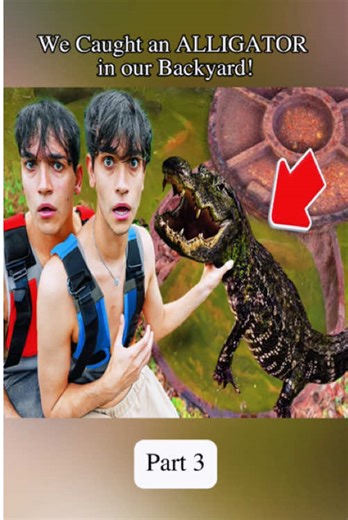 We Caught An Alligator In Our Backyard- Part 3. #lucasandmarcus #lucas #marcus #ivanitalomeli #fyp