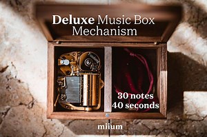 Deluxe Custom Music Box With Your Own Design and Melody | Natural Wood | Personalized Jewelry Wooden Box | 30 Notes Wind-up Mechanism - Etsy