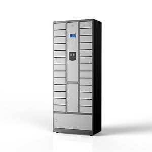 [Hot Item] Premium High-Security Gym Locker for Ultimate Personal Item Protection