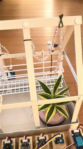 水やり機能付きミニ施設園芸施設作りました。アルディーノで簡単に作成できます。