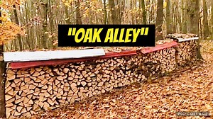 3.7K views · 131 reactions | Today's video I show you my current firewood inventory. | Joe's Premium Firewood | Facebook