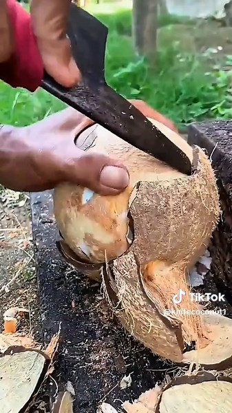 Technique for opening coconut meat from its shell #coconutcutting #asmrvideo #viralvideo #foryoupage