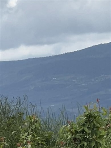 Josh page (@josh.bonfire)’s videos with sonido original - Luis Zamora