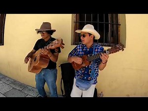 Son Jarochoのストリートパフォーマンス!だよ