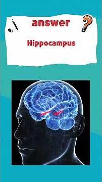 AP Psychology Unit 2E(2.41~50)