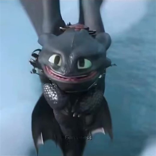 #howtotrainyourdragon Toothless is so cute