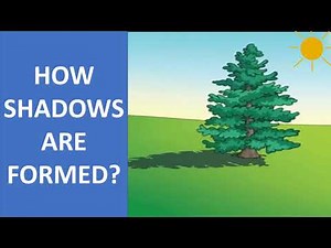 What is a Shadow Video Lecture - Class 6 All Subjects (Old NCERT)