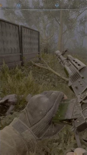 STALKER 2 Heart of Chernobyl — Скиф отстреливает мутантов / Skif fights off mutant dogs #stalker2