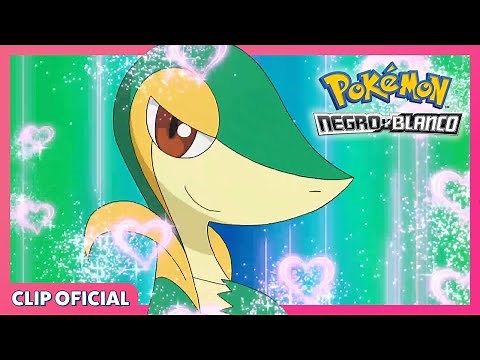 ¡Snivy usa Atracción! | Pokémon Negro y Blanco | Clip oficial