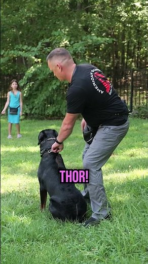 How to Train Your Dog to Come on Command with a Simple Recall Trick!