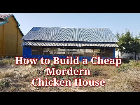 How to build a Cheap Modern Chicken House